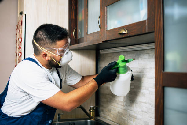 Best Local Pest Control Services  in Swainsboro, GA