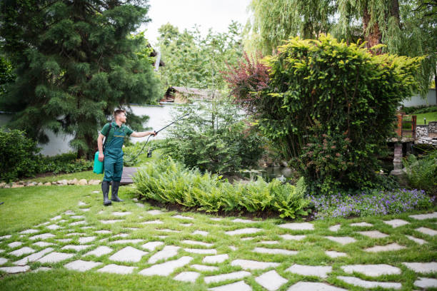Best Pest Removal Services  in Swainsboro, GA