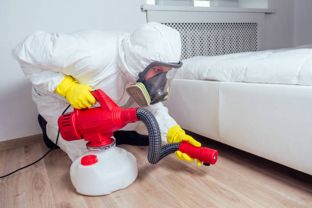 Best Termite Control Services  in Swainsboro, GA