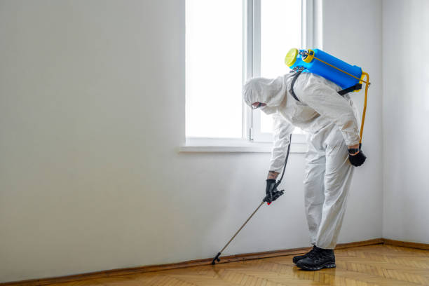 Best Residential Pest Control  in Swainsboro, GA
