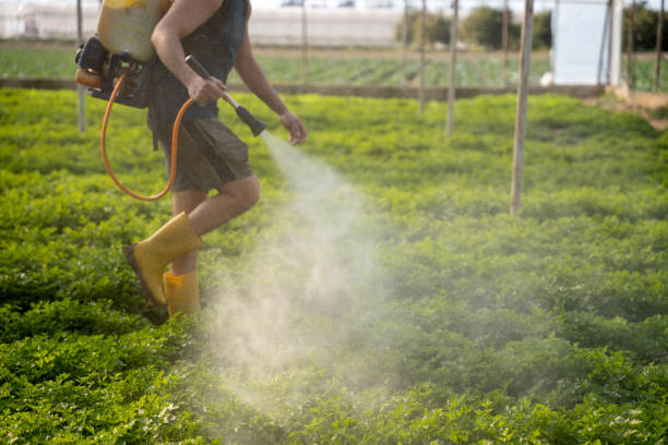 Best Best Pest Control Companies  in Swainsboro, GA