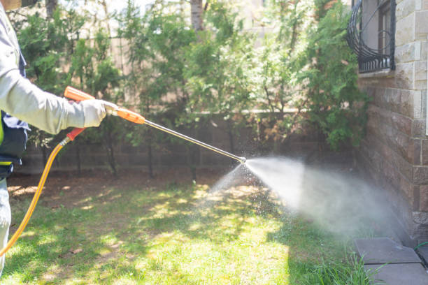 Best Ant Control Services  in Swainsboro, GA