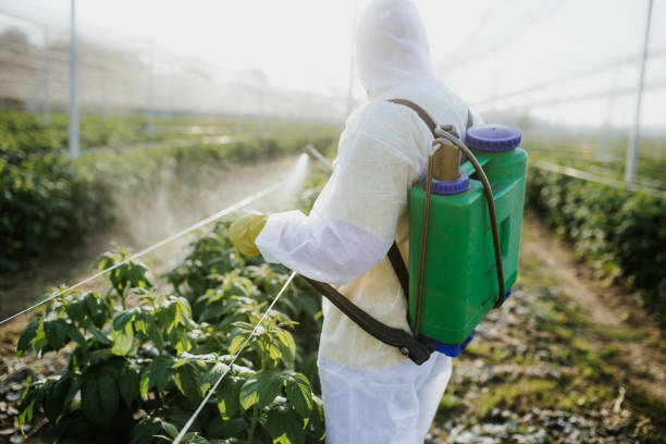 Best Emergency Pest Control  in Swainsboro, GA